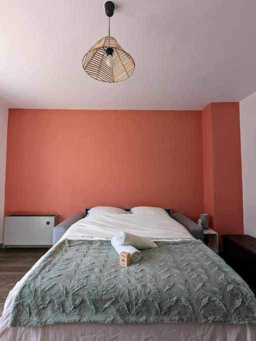 The Place To Be, Parking Gratuit Roanne Esterno foto
